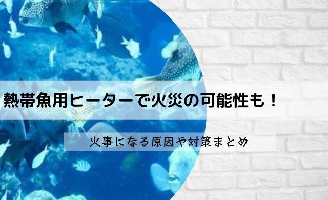 熱帯魚用ヒーターで火災の可能性も 火事になる原因や対策まとめ クッパの生活情報館