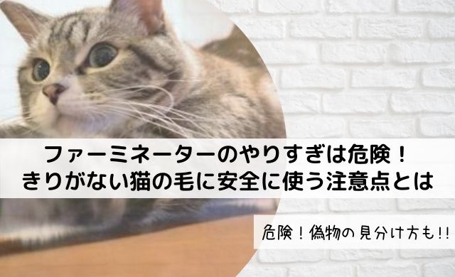 ファーミネーターのやりすぎは危険 きりがない猫の毛に安全に使う注意点とは クッパの生活情報館